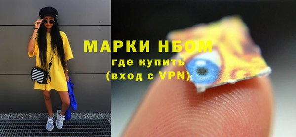 PSILOCYBIN Алзамай