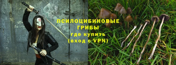 спиды Новочеркасск