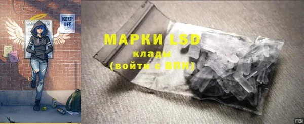 PSILOCYBIN Алзамай