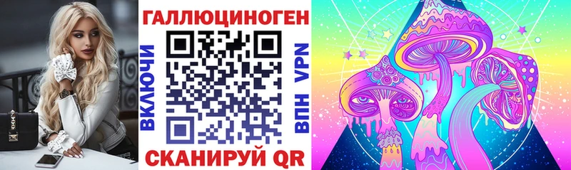 hydra онион что такое Анадырь Псилоцибиновые грибы мицелий
